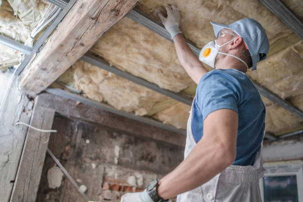 Professional Insulation Contractor in Nashua, IA