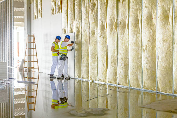 Professional Insulation Contractor in Nashua, IA
